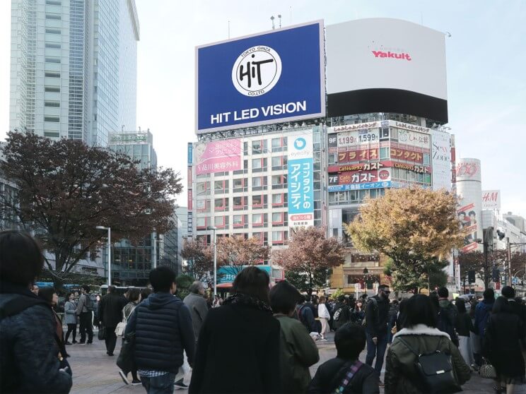 実際の掲載イメージ